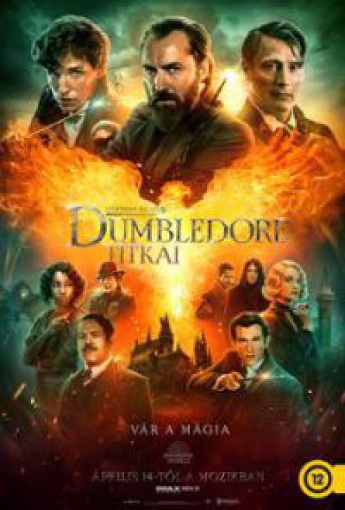 Legendás állatok: Dumbledore titkai *Import - Magyar szinkronnal* DVD