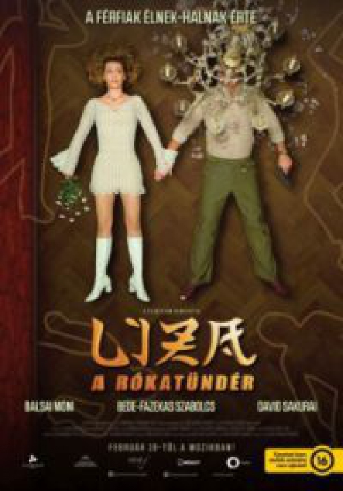 Liza, a rókatündér *Balsai Mónika - Antikvár - Kiváló állapotú* DVD