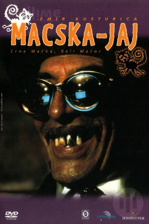 Macska-jaj (Emir Kustorica - Macskajaj) DVD Macska-jaj (Emir Kustorica - Macskajaj) DVD