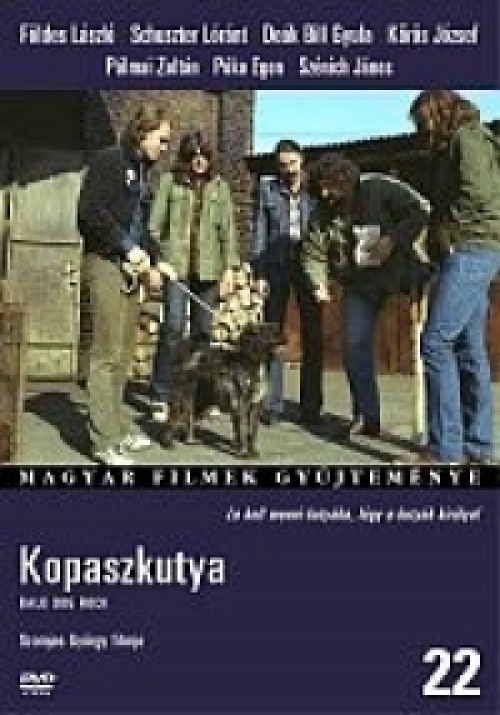 Magyar Filmek Gyűjteménye:22. Kopaszkutya *Antikvár - Kiváló állapotú* DVD