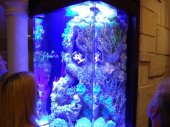 Mega-akváriumok