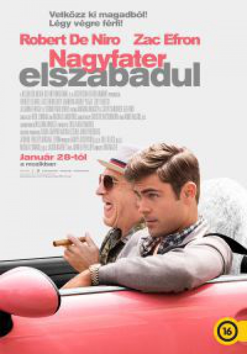 Nagyfater elszabadul *Robert De Niro - Zac Efron* *Antikvár - Kiváló állapotú* DVD