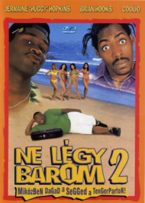 Ne légy barom 2. DVD