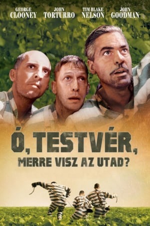 Ó, testvér, merre visz az utad?  *George Clooney - Antikvár - Kiváló állapotú* DVD