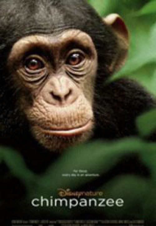 Oscar, a csimpánz DVD