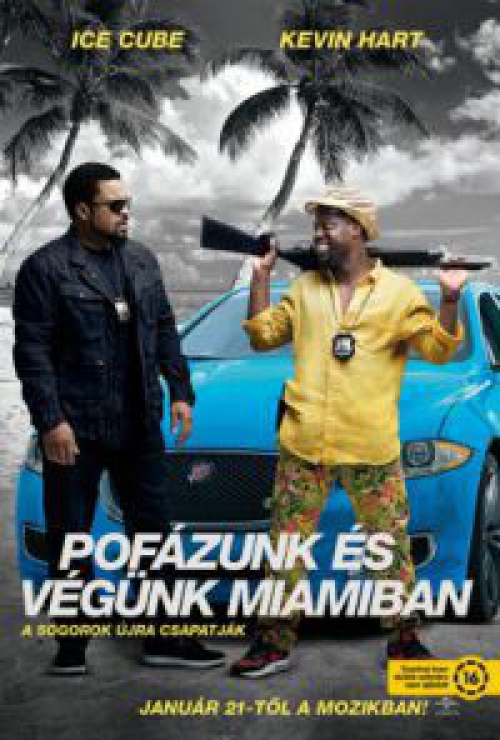 Pofázunk és végünk Miamiban *Antikvár - Kiváló állapotú* DVD