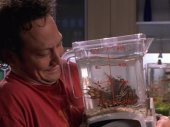 Rob Schneider