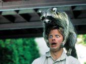 Steve Zahn