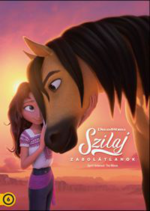 Szilaj: Zabolátlanok *Szinkronizált* DVD