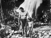 Tarzan és Kölyök