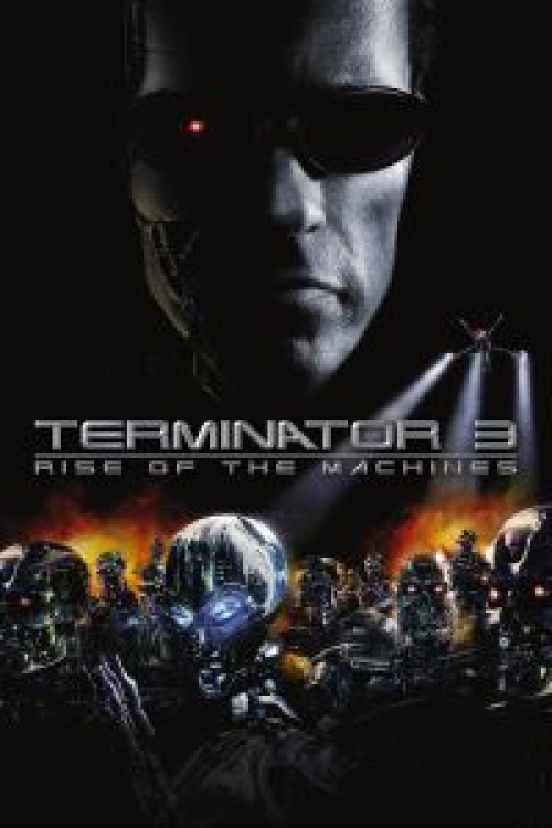 Terminátor 3.: A gépek lázadása (2 DVD) *Antikvár-Kiváló állapotú* DVD