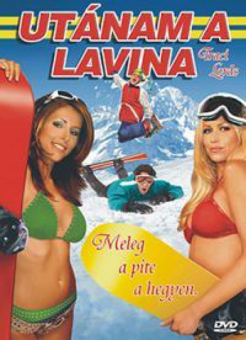 Utánam a lavina *Antikvár - Kiváló állapotú* DVD