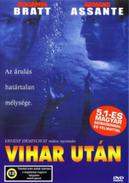 Vihar után DVD